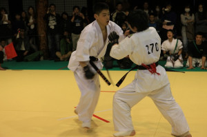 IMG 7194