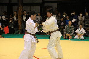 IMG 7195