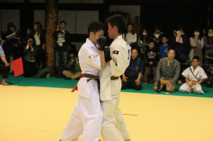 IMG 7196