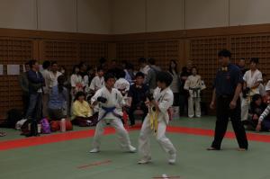 IMG 7741