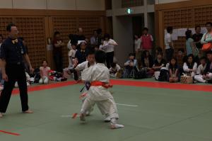 IMG 7742
