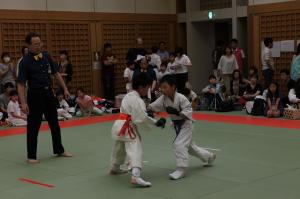 IMG 7743