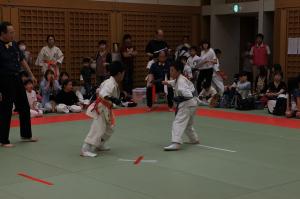 IMG 7745