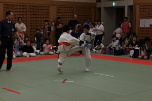 IMG 7746