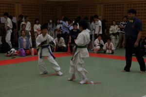 IMG 7747