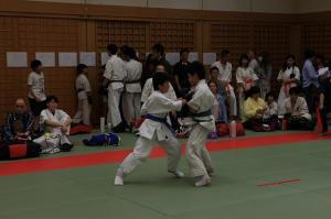 IMG 7748
