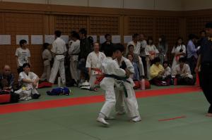 IMG 7749