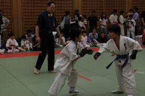 IMG 7752
