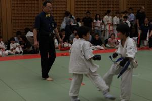 IMG 7753