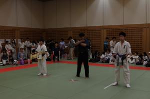 IMG 7754