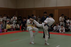 IMG 7755