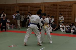 IMG 7756