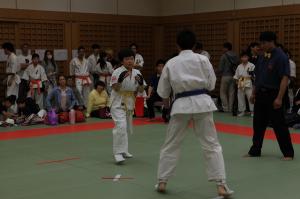 IMG 7757