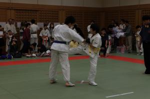 IMG 7758