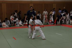 IMG 7762