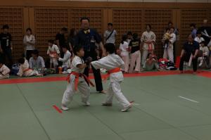 IMG 7763