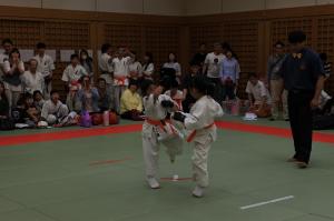IMG 7766