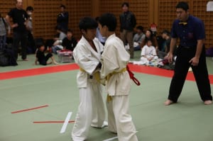 IMG 8975