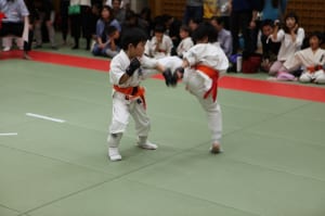IMG 8976