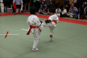 IMG 8977