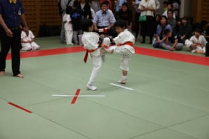 IMG 8978