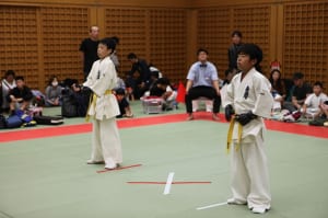 IMG 8979