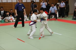IMG 8982