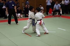 IMG 8983