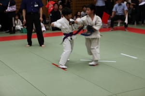 IMG 8984