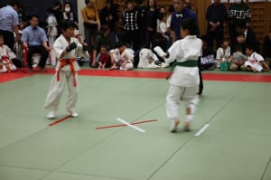 IMG 8985