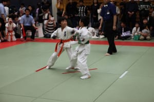 IMG 8986