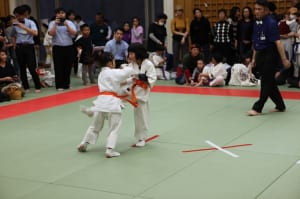 IMG 8987