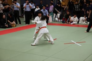 IMG 8988