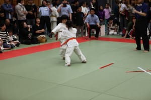IMG 8989