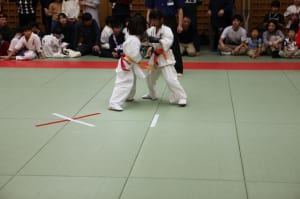 IMG 8990