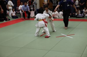 IMG 8991
