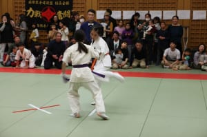IMG 8993