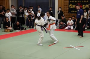 IMG 8996
