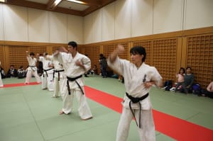 IMG 9073