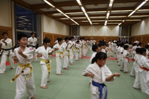 IMG 9075