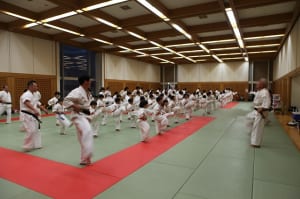 IMG 9078