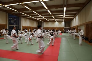 IMG 9079
