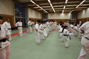 IMG 9080