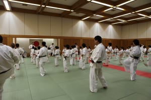 IMG 9081