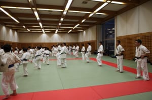 IMG 9082