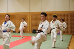 IMG 9083