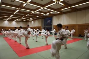 IMG 9084