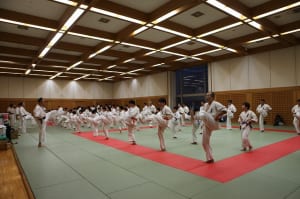 IMG 9085