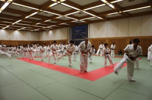 IMG 9086