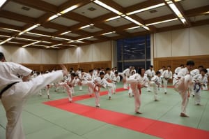 IMG 9088